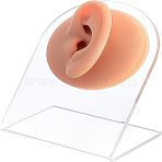 Acrylic Earring Display Stands, with Navajo White Silicon Imitation Ear, for Stainless Steel Jewerly Display, Clear, Stand: 8x5.1x10.2cm, Hole: 57mm(AJEW-WH0270-14B)