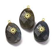 Natural Labradorite Pendants, Faceted Egg Shaped Charms with Rack Plating Golden Plated Brass Slices, Lead Free & Cadmium Free, 21x12.5x8mm, Hole: 1.5mm(G-B089-01G-04)