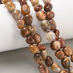 Natural Rainbow Petrified Wood Beads Strands, Nuggets, Tumbled Stone, 6~8.5x6~7.5x5~8mm, Hole: 0.9mm, about 27~35pcs/strand, 7.48~8.26''(19~21cm)(GG-CBA9392-30)