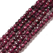 Natural Garnet Beads Strands, Faceted, Round, 2~2.5mm, Hole: 0.4mm, about 191pcs/strand, 15.35''(39cm)(G-I341-09A)