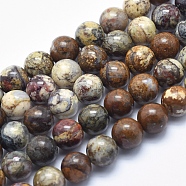 Natural Pietersite Beads Strands, Round, 10mm, Hole: 1.2mm, about 39pcs/strand, 15.7 inch(G-K256-49-10mm)