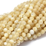 Shell Beads Strands, Round, 2mm, Hole: 0.5mm, about 195pcs/strand, 15.35 inch(39cm)(G-A177-04-26)