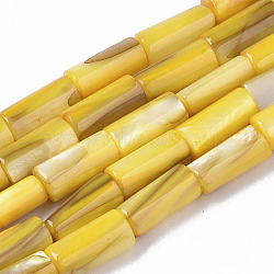 Natural Freshwater Shell Beads, Dyed, Column, Gold, 10x4.5mm, Hole: 0.9mm, about 36pcs/Strand, 14.17 inch(36 cm)(SHEL-R047-01G)