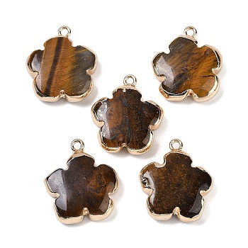 Natural Tiger Eye Pendants, Flower Charms with Brass Findings, Golden, 23~24x21x6mm, Hole: 1.8mm