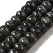 Natural Larvikite Beads Strands, Rondelle, 10x6~6.5mm, Hole: 1mm, about 59~61pcs/strand, 14.57~15.16 inch(37~38.5cm)(G-G102-C03-01)