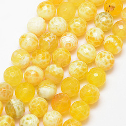 Natural Fire Crackle Agate Bead Strands, Round, Grade A, Faceted, Dyed & Heated, Yellow, 10mm, Hole: 1mm, about 37pcs/strand, 15 inch(X-G-K166-07F-10mm-17)