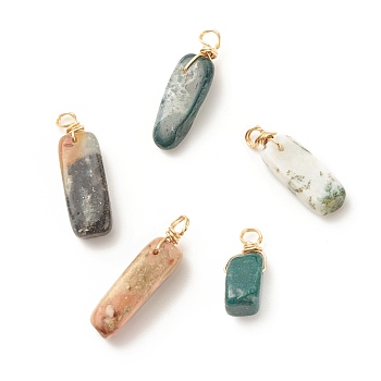 Natural Indian Agate Pendants, Twisted with Golden Tone Copper Wire, Chip, 17~29x8~10x5.5~9mm, Hole: 2.5~3.2mm