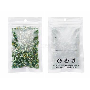 Glass Seed Beads(X-SEED-S059-006)-8