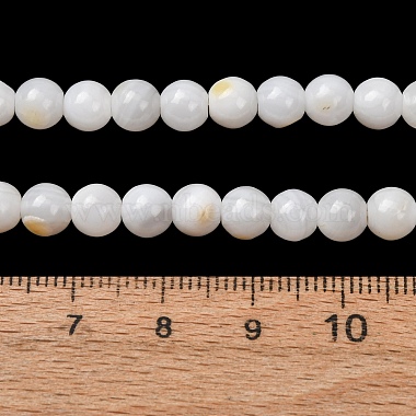 Natural Freshwater Shell Beads Strands(SH-CBA2978-07D-04)-4