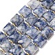 Natural Blue Spot Jasper Beads Strands(G-F839-A15-01)-2