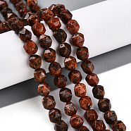 Dyed Natural Sesame Jasper Beads Strands, Faceted, Star Cut Round Beads, Chocolate, 7~8x6~7.5x6~7.5mm, Hole: 1mm, about 48~49pcs/strand, 14.17~15.35''(36~39cm)(G-T139-8mm-47L)