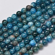 Natural Apatite Round Bead Strands, 6mm, Hole: 1mm, about 65pcs/strand, 15.5 inch(G-M304-14-6mm)