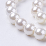 Shell Pearl Beads Strands, Round, White, 6mm, Hole: 1mm, about 63pcs/strand, 15.7 inch(BSHE-L035-6mm-I13)