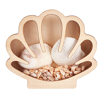 Shell Shaped Wooden Sea Shell Storage Display Cases with Visible Window, for Home Decoration, Antique White, 17.95x3.25x15.45cm