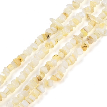 Natural Freshwater Shell Beads Strands, Nuggets, Light Goldenrod Yellow, 2~5.5x5~17x5~8mm, Hole: 0.7mm, 29.53 inch(75cm)