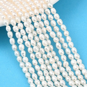 Natural Cultured Freshwater Pearl Beads Strands, Rice, Grade 3A++, Cornsilk, 3.5~4mm, Hole: 0.5mm, about 75~77pcs/strand, 13.58~13.78''(34.5~35cm)