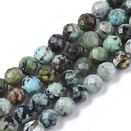 Natural African Turquoise(Jasper) Beads Strands, Faceted, Round, 5mm, Hole: 0.7mm, about 82~83pcs/strand, 15.35 inch(39cm)(G-S361-5mm-002)