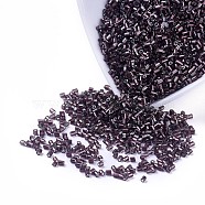 MGB Matsuno Glass Beads, Japanese Seed Beads, 11/0 Silver Lined Glass Round Hole Hexagon Two Cut Seed Beads, Purple, 2x1.5mm, Hole: 0.5mm, about 44000pcs/bag, 450g/bag(SEED-R018-59RR)
