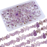 4 Strands Natural Amethyst Chip Beads Strands, 5~8x5~8mm, Hole: 1mm, about 31.5 inch(G-SC0002-65)