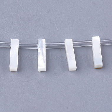 10mm Creamy White Alphabet Other Sea Shell Beads