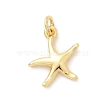Brass Charms, Long-Lasting Plated, Rack Plating, Real 18K Gold Plated, with Jump Rings, Starfish, 12x11x2mm(KK-Z135-14B-G)