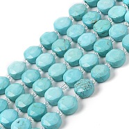 Natural Howlite Bead Strands, Faceted, Flat Round, Dyed, 10~10.5x10.5~11x5.5~6mm, Hole: 1mm, about 29pcs/strand, 14.76 inch(37.5cm)(G-C116-A08-01)