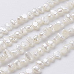 Natural Cultured Freshwater Pearl Beads Strands, Baroque Keshi Pearl Beads, Two Sides Polished, Floral White, 5~7x4~5x3~4mm, Hole: 0.3mm, about 76~80pcs/strand, 14 inch(PEAR-P002-53B)