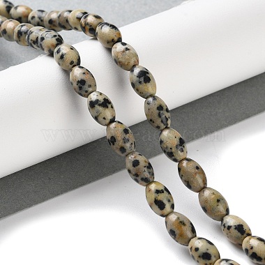 Natural Dalmatian Jasper Beads Strands(G-I369-B03-01)-2