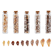 5 Styles Shell Beads, Undrilled/No Hole Beads, with Glass Cork Container, Mixed Color, 8~20x3~12x3~10mm, 56g/box(SHEL-FH0001-23)
