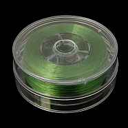 Flat Elastic Crystal String, Elastic Beading Thread, for Stretch Bracelet Making, Lime Green, 0.8mm(EC-G002-0.8mm-17)