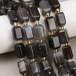 Natural Botswana Agate Beads Strands, Faceted, Cuboid, with Seed Beads, 14.5x9.5mm, Hole: 1.2mm, about 23pcs/strand, 15.75''(40cm)(G-P611-A02-02)