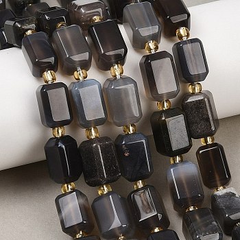 Natural Botswana Agate Beads Strands, Faceted, Cuboid, with Seed Beads, 14.5x9.5mm, Hole: 1.2mm, about 23pcs/strand, 15.75''(40cm)