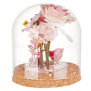 Glass Dome Cover, Decorative Display Case, Cloche Bell Jar Terrarium with Cork Base, Clear, 120x140mm, Inner Diameter: 115mm(AJEW-WH0248-550B)