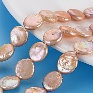 Natural Keshi Pearl Beads Strands, Cultured Freshwater Pearl, Flat Round, PeachPuff, 11~14x11~12x4~5mm, Hole: 0.6mm, about 31~34pcs/strand, 14.57~15.35 inch(37~39cm)(PEAR-S018-02E)