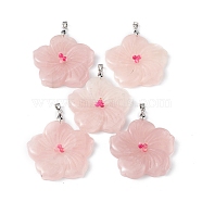 Natural Rose Quartz Big Pendants, Peach Blossom Charms, with Platinum Plated Alloy Snap on Bails, 57x48x9mm, Hole: 6x4mm(G-B040-01P-11)