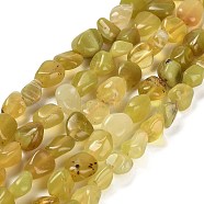 Natural Yellow Opal Beads Strands, Nuggets, Tumbled Stone, 7~13x4.5~10x4.5~10mm, Hole: 1.2mm, about 44~46pcs/strand, 15.08~16.14 inch(38.3~41cm)(G-P497-01E-02A)