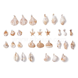 30Pcs 10 Styles Acrylic Pendants, Shell Shape/Starfish Charms, with 304 Stainless Steel Jump Rings, Stainless Steel Color, 23.5~41x10.5~30x5~15mm, Hole: 5mm, 3pcs/style(PALLOY-JF03989-01)