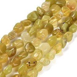 Natural Yellow Opal Beads Strands, Nuggets, Tumbled Stone, 7~13x4.5~10x4.5~10mm, Hole: 1.2mm, about 44~46pcs/strand, 15.08~16.14 inch(38.3~41cm)(G-P497-01E-02A)