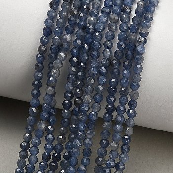 Natural Sapphire Beads Strands, Faceted, Round, 2.8x2.5mm, Hole: 0.6mm, about 154pcs/strand, 15.83''(40.2cm)