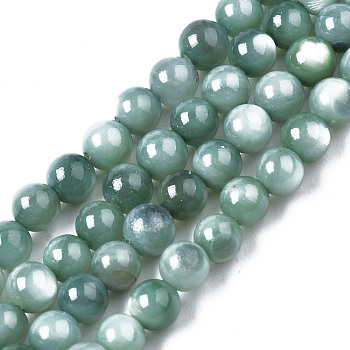 Natural Freshwater Shell Beads Strands, Dyed, Round, Light Sea Green, 2.5mm, Hole: 0.5mm, about 122~136pcs/strand, 14.57 inch~15.63 inch(37cm~39.7cm)