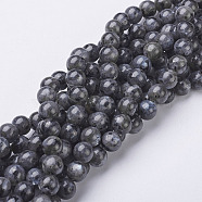 Natural Larvikite/Black Labradorite Beads Strands, Round, about 8mm, Hole: 1mm, about 47~49pcs/strand, 15.5 inch(X-GSR8mmC128)