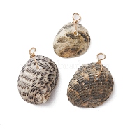 Natural Shell Pendants, Shell Shape Charms with Light Gold Coppper Loops, Coffee, 22~26x16~20x11~15mm, Hole: 5mm(PALLOY-JF02953)