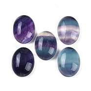 Natural Colorful Fluorite Cabochons, Oval, 20x14.5x6mm(G-H288-01G)