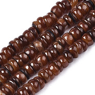 Natural Freshwater Shell Beads Strands, Dyed, Chip, Coconut Brown, 3~4x0.3~3mm, Hole: 0.6mm, about 220~225pcs/strand, 14.76 inch~15.16 inch(37.5cm~38.5cm)(SHEL-S278-067C)