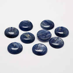 Natural Kyanite/Cyanite/Disthene Cabochons, Half Round/Dome, 16x4mm(X-G-O146-01H)