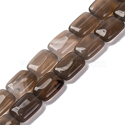 Natural Gray Agate Beads Strands, Rectangle, 18x13.5x5.5mm, Hole: 1.2mm, about 22pcs/strand, 15.75 inch(40cm)(G-T047-B24-01)