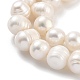 Natural Cultured Freshwater Pearl Beads Strands(PEAR-C003-01C)-4