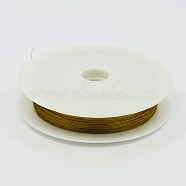 Tiger Tail Wire, Nylon-coated Stainless Steel Wire, Goldenrod, 0.38mm, about 164.04 Feet(50m)/roll(L0.38mm07)