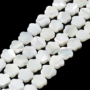 Natural Trochus Shell Beads Strands, Flower, Snow, 9.5x10x3mm, Hole: 0.6mm, about 42~43pcs/strand, 15.75''(40cm)(BSHE-P033-07)