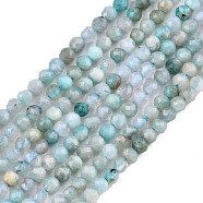 Natural Russia Amazonite Beads Strands, Faceted, Round, 2~2.5mm, Hole: 0.3mm, about 165pcs/strand, 14.9 inch(G-S300-13-2mm)